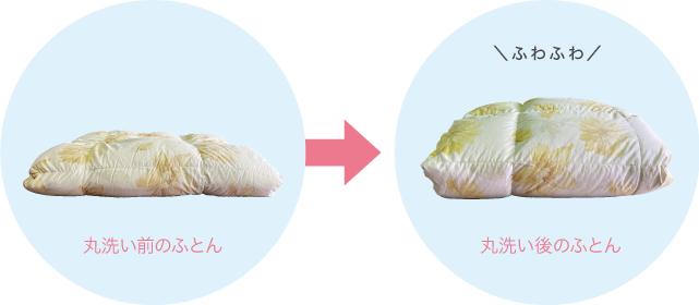 丸洗い前のふとん・丸洗い後のふとん
