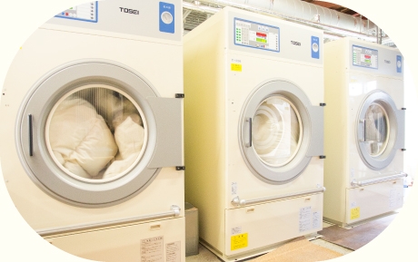 事業の立ち上げへ 事業の立ち上げへ