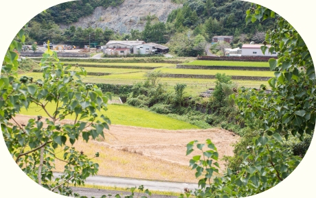 イキイキと生きられるお役に立てられる誇りある仕事 イキイキと生きられるお役に立てられる誇りある仕事