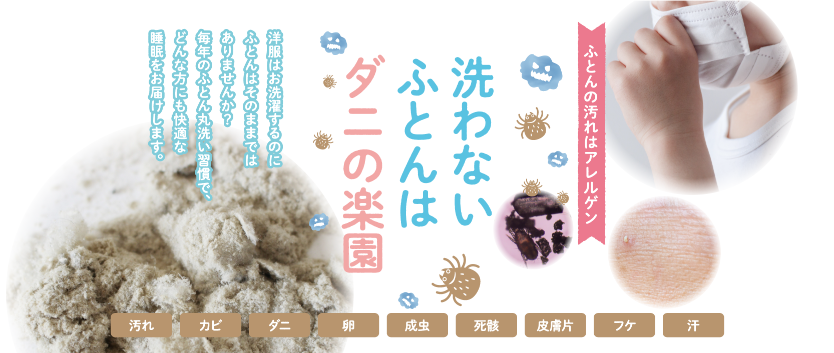 【丸ごと水洗いが必要な理由】ふとんの汚れはアレルゲン 洗わないふとんはダニの楽園